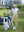 Model on course holding club and bag in Women's 7/8 ankle golf track pants, khaki