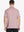 Back half-body view of male model wearing the Pale Pink Everyday Classic Solid Polo